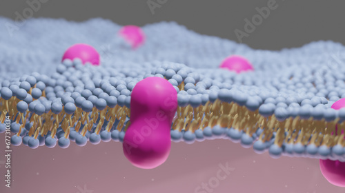 3D illustration of the extracellular matrix within the human body in colour. Scientific Illustration. Pink. Blue. Yellow (ID: 677310834)