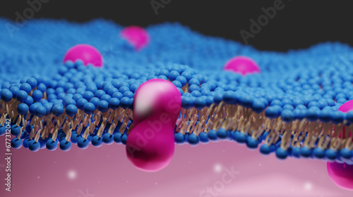 Detailed section 3D illustration of the extracellular matrix within the human body in color. Pink. Blue. Yellow. Scientific Illustration (ID: 677312042)