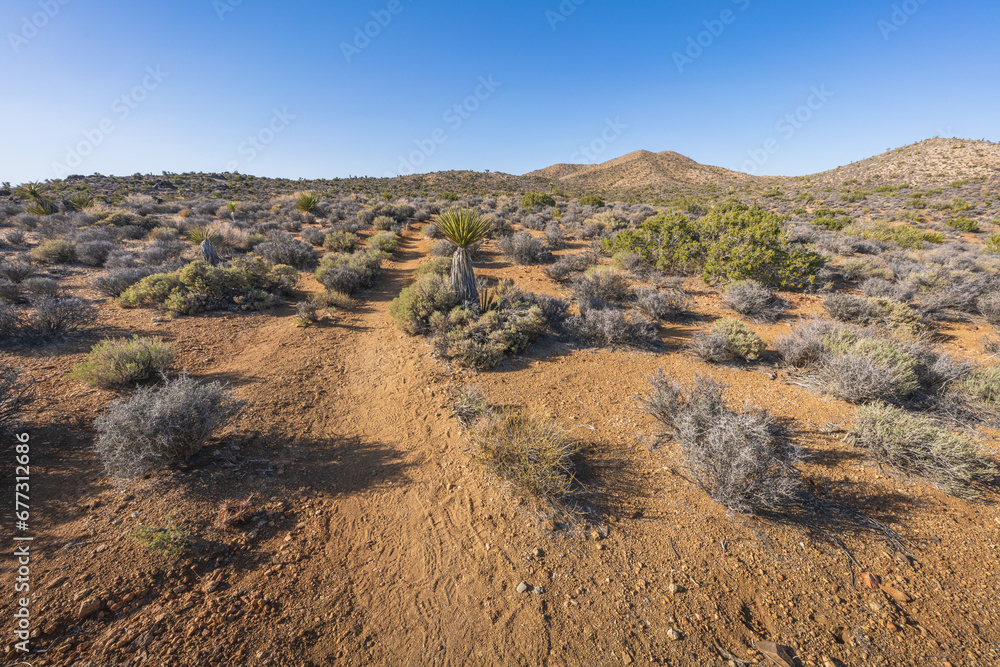 hiking the lost horse mine loop trail in joshua tree national park, california, usa hiking the lost horse mine loop trail in joshua tree national park, california, usa