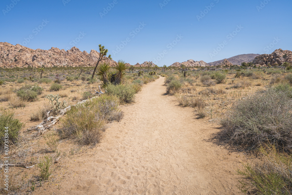 hiking the lost horse mine loop trail in joshua tree national park, california, usa