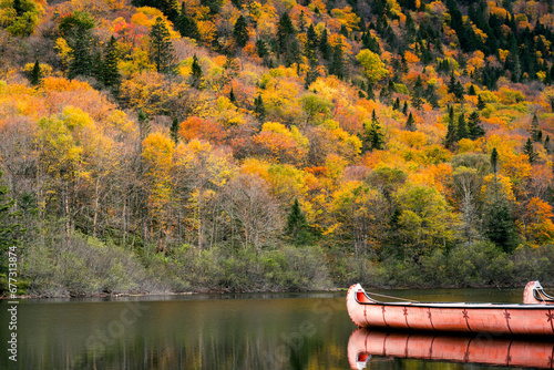 Fall foliage and canoe on Jacques Cartier river