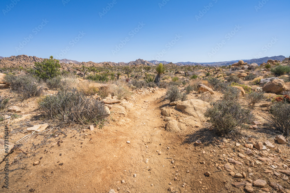 hiking the lost horse mine loop trail in joshua tree national park, california, usa hiking the lost horse mine loop trail in joshua tree national park, california, usa