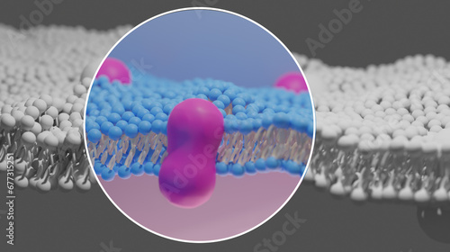 3D Illustration of the Extracellular Matrix. Detailed section highlighted in color and circled with a white outline. Pink. Blue. Yellow. Scientific Illustration (ID: 677315251)