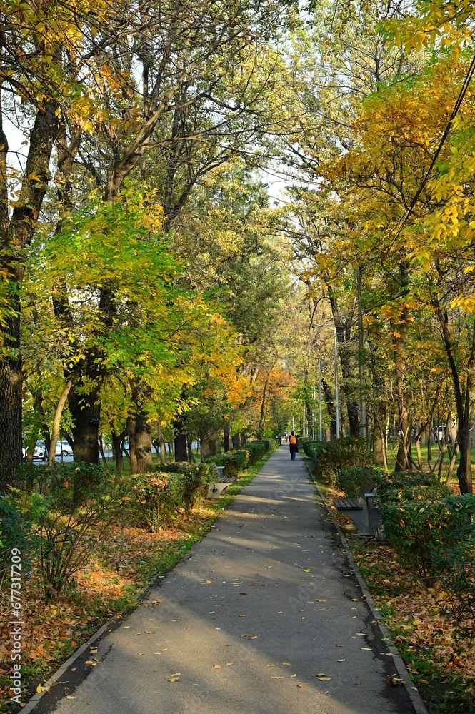 Autumn alley with trees, stretching into the distance in the city of Almaty