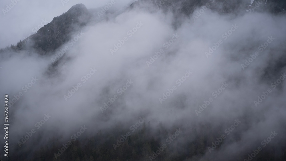 Drone shot of trees in fog in the Bavarian alps, Germany