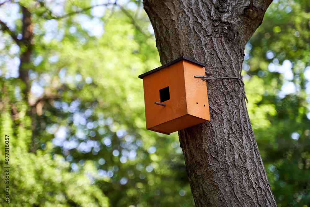 Wooden birdhouse on a tree in a summer park