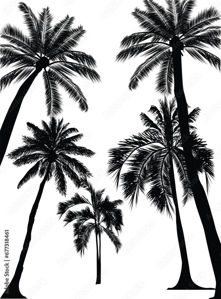 five palm trees group isolated on white background