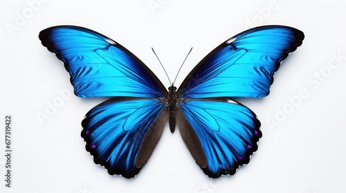  a blue butterfly sitting on top of a white surface with its wings spread out and facing the side of the frame.