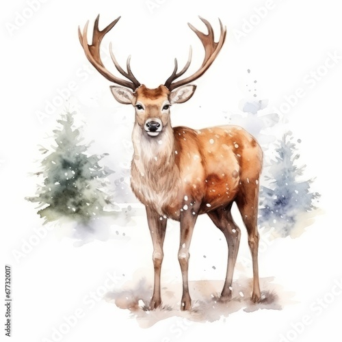 Magical Christmas Reindeer watercolor isolated on white background  © fotogurmespb