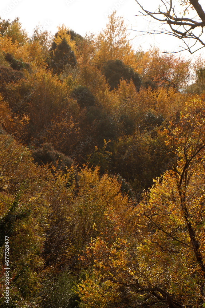 Autumn colors in the park Autumn colors in the park