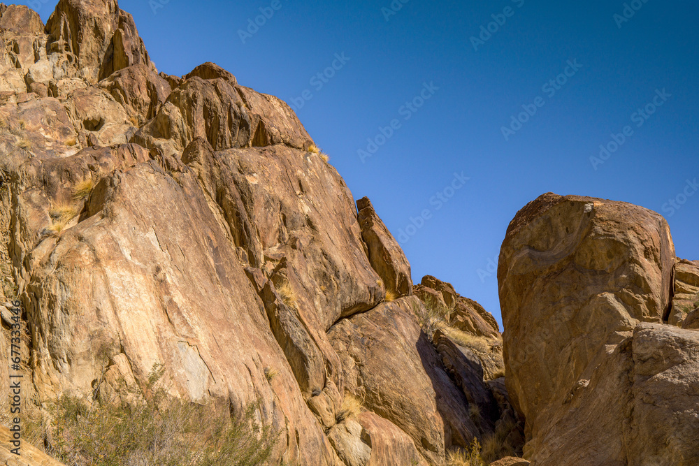 Hiking along a beautiful desert oasis trail in the Palm Springs Indian Canyon, in Southern California.