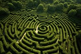 Aerial view of maze-like patterns created by interlocking treetops
