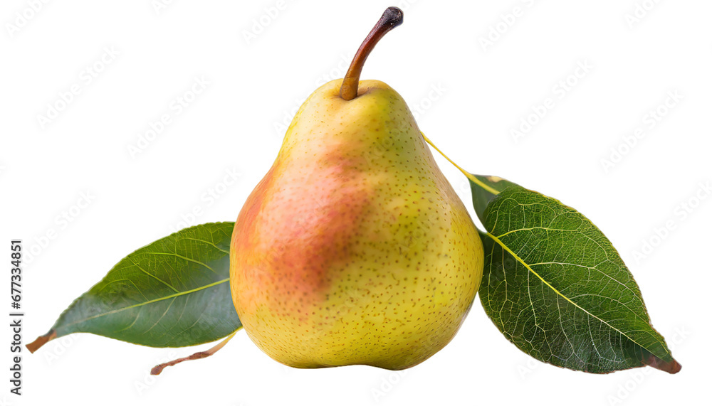 A Pear with Leaf Isolated on a Transparent Background Png A Pear with Leaf Isolated on a Transparent Background Png