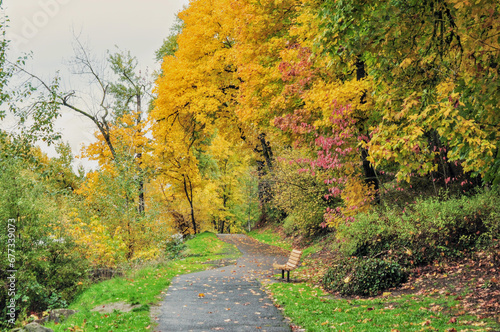 Autumn leaf colors on trail