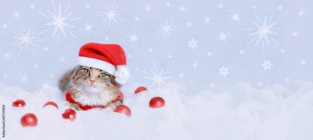 Christmas Cat. Holiday. Starry sky Snowflake 