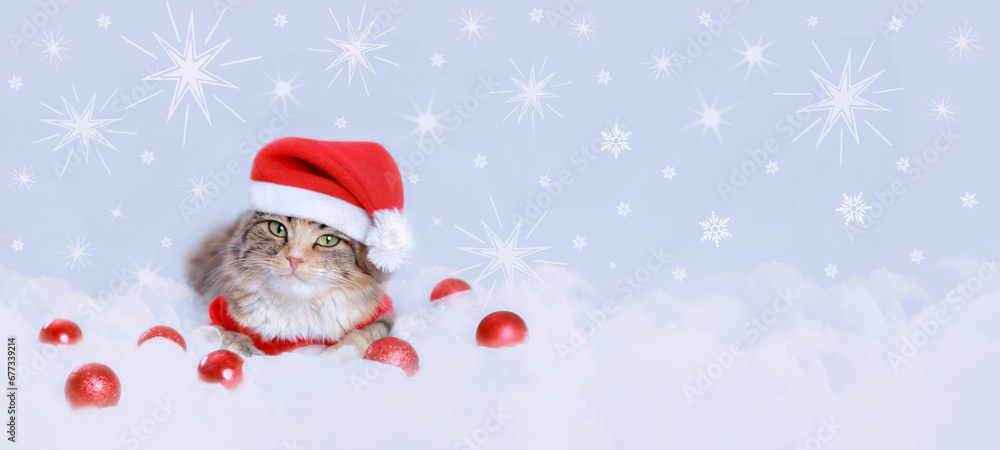 Christmas Cat. Holiday. Starry sky Snowflake Christmas Cat. Holiday. Starry sky Snowflake