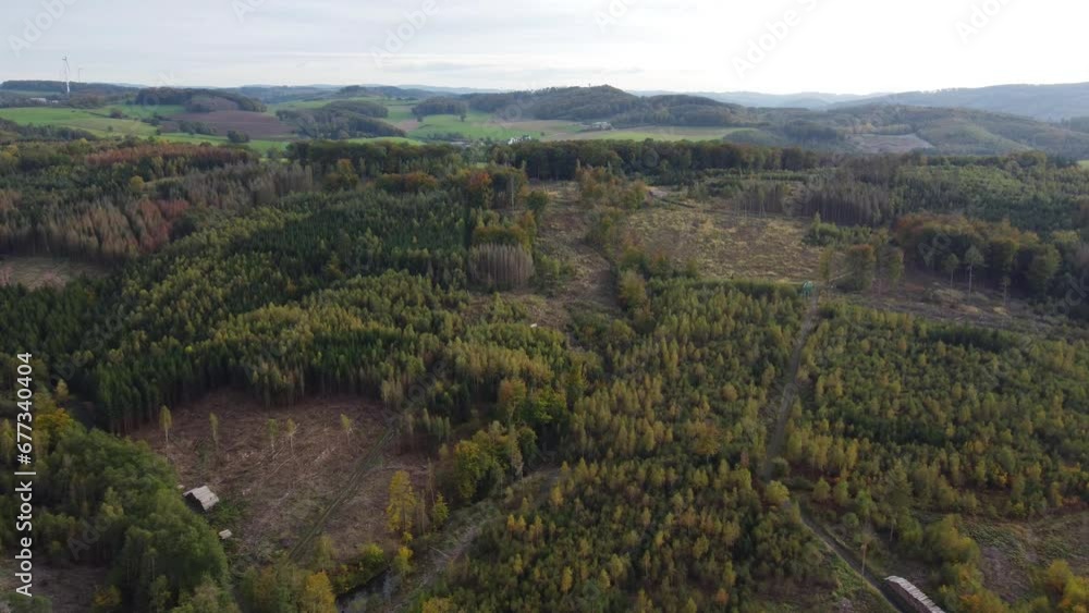 Forest dieback Overflight of the German forest with dead trees damaged by the bark beetle Forest dieback Overflight of the German forest with dead trees damaged by the bark beetle