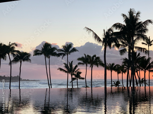 Palm trees at sunset reflecting on an infinity pool with the ocean in the background in Oahu, Hawaii © Wirestock
