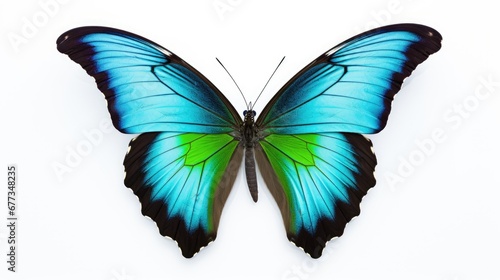  a blue and green butterfly sitting on top of a white surface with its wings spread out and wings spread wide open. © Olga