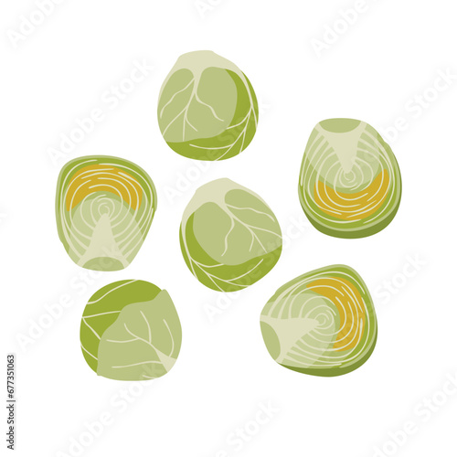 Vector brussels sprouts isolated on white background.Whole and halved leaf heads of a healthy vegetable.Set of icons for menu and store signage design,cooking ingredient.Flat cartoon illustration.