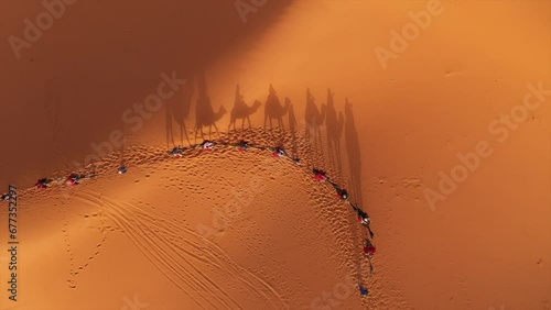 Merzouga camel desert sahara morocco