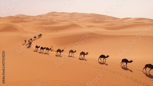 Merzouga desert sahara morocco