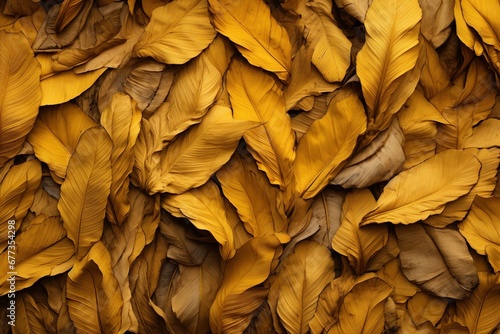 Dried banana leaves abstract pattern