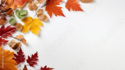 Top view of various autumn leaves on a white background