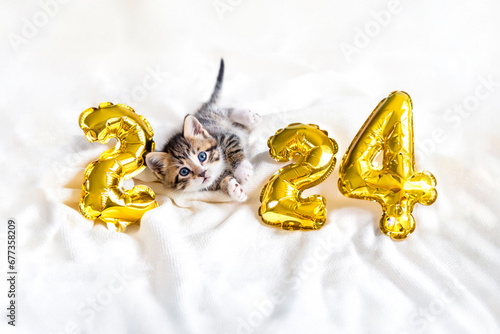 Christmas card cat 2024, Kitty with gold foil balloons number 2024 new year, Striped kitten on Christmas festive white background.