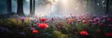 Panoramic view of wild flower field in foggy forest at sunrise with variable colors in Spring. Spring seasonal concept.