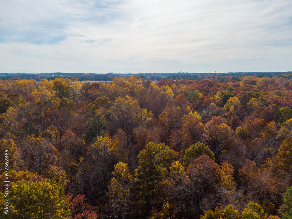 Durant Nature Preserve, Raleigh NC - Drone