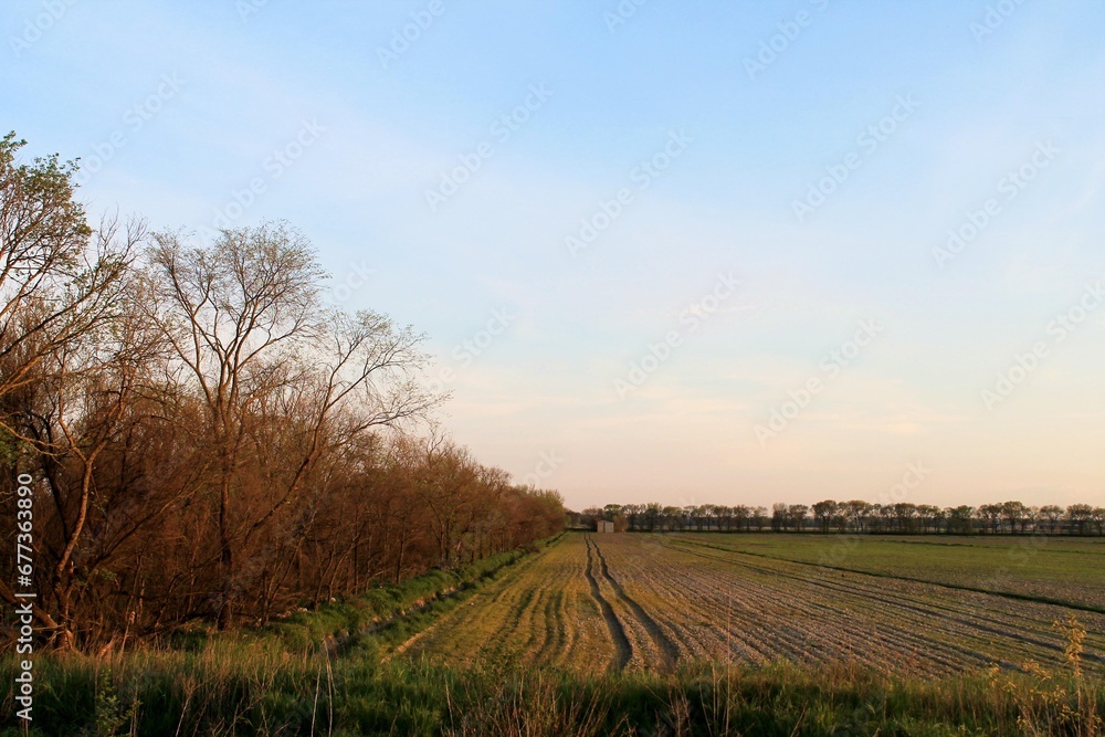 Plowed field under a blue sky