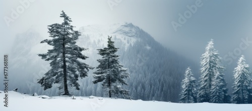 Close-up view of a beautiful tree in Winter covered by heavy snow and ice. Winter seasonal concept.