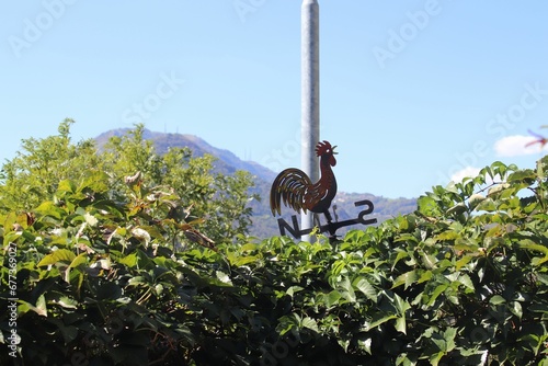 Closeup of a weather vane on green shrubs on a sunny day