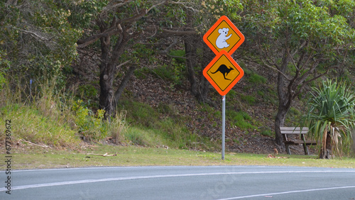Photography Road sign australia koala and kangaroo on North Stradbroke Island in Queensland