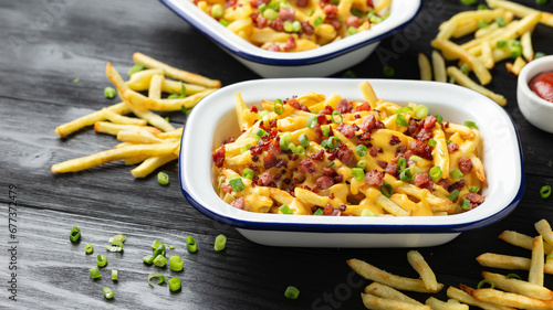 Crispy French fries loaded with bacon  cheese sauce and spring onion