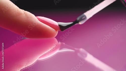 Applying Nail polish, pink shellac UV gel, varnish, manicure process concept in beauty salon. Transparent top coat drop on brush. Over pink background. Application of nail polish photo