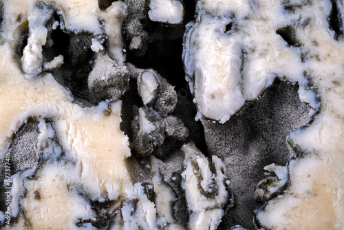 Blue cheese macro, penicilium from a french traditional cheese  photo