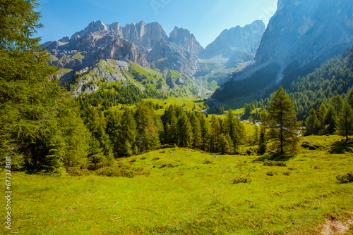 landscape with mountains, meadow and trees © Alliance