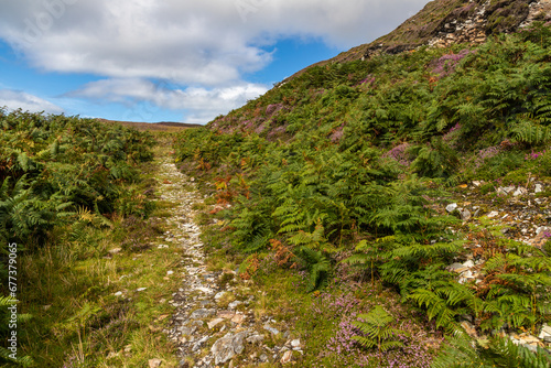 Granuaile Loop Walk Trail cover by flowers and vegetation