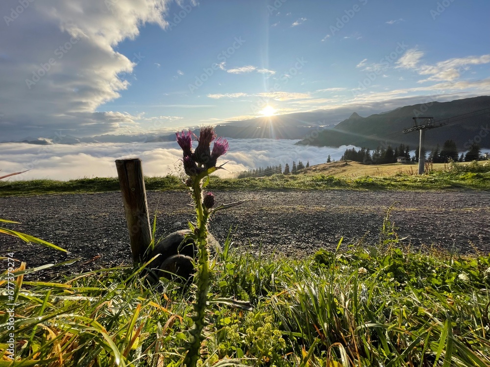 Fototapeta premium Sonnenaufgang berge