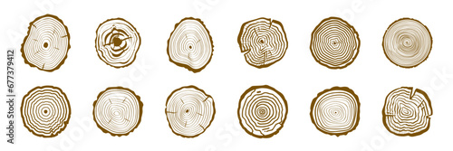 Wood Tree Rings Vector Set. Wood Tree Trunk Rings photo