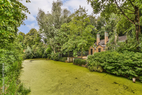 an outdoor area with green algae and trees in the fore - image is taken from google's street view