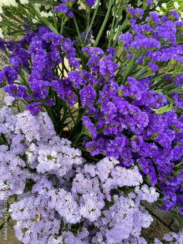 Vibrant purple violet decorative Limonium sinuatum flowers in a flower shop market top view, floral wallpaper background with violet blue Limonium photo