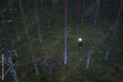 A man with a headlamp wanders through a pine forest, drone photo.