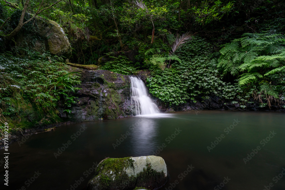 waterfall in the forest waterfall in the forest