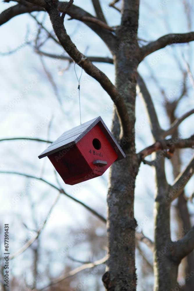 Vertical shot of a dark red birdhouse hanging from a tree branch.