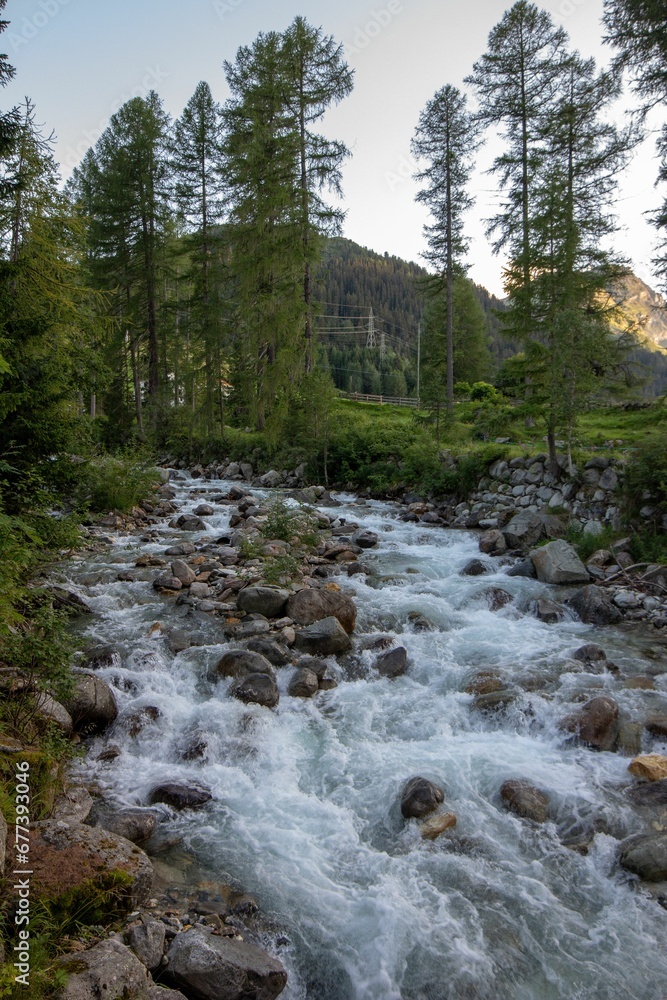 Beautiful fast-flowing river in the rocky mountains among the pine trees Beautiful fast-flowing river in the rocky mountains among the pine trees
