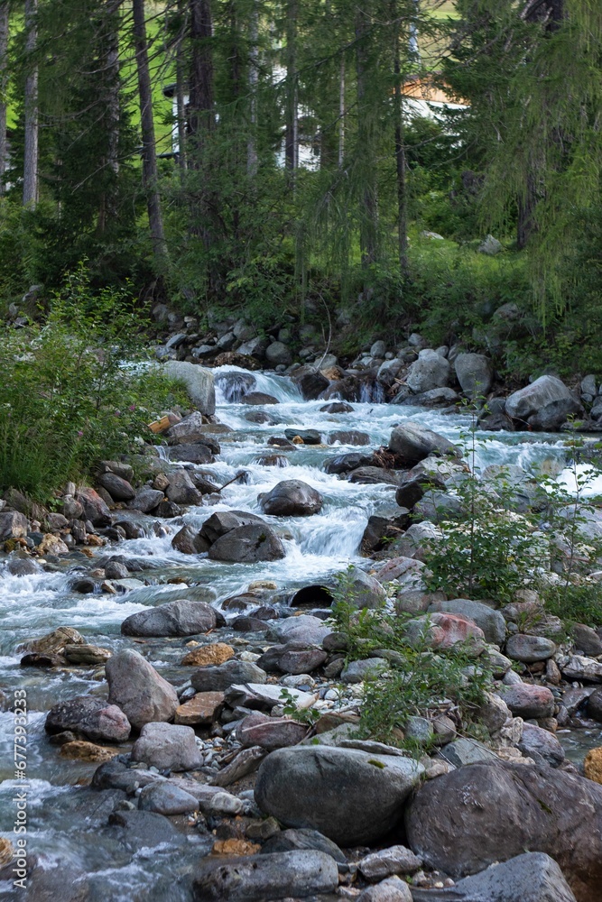 Beautiful fast-flowing river in the rocky mountains among the pine trees