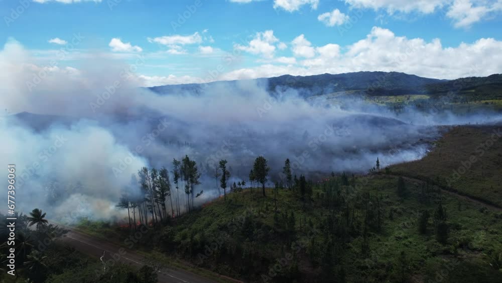 Wildfire aerial view. Fire and smoke. Burning forest. Natural disaster from climate change. Dry grass and trees burns. High summer temperature. Smoke of wildfire comes up. Tropical jungle in smog Wildfire aerial view. Fire and smoke. Burning forest. Natural disaster from climate change. Dry grass and trees burns. High summer temperature. Smoke of wildfire comes up. Tropical jungle in smog